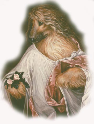 Copia di Catz 9